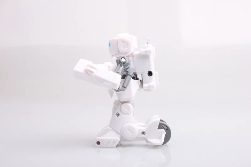 Battle robot