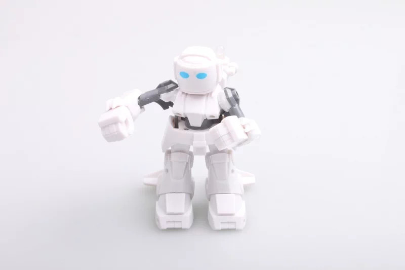 Battle robot